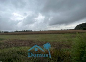 Rustico Riva di Pinerolo, Pinerolo - foto 23