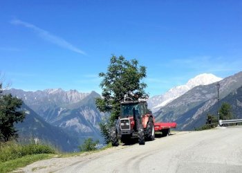 Locale Commerciale Valdigne, Aosta - foto 40