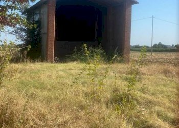 Agricultural land Imola - photo 1