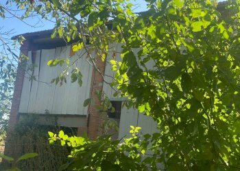 Agricultural land Imola - photo 2