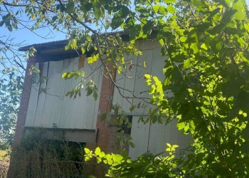 Agricultural land Imola - photo 3