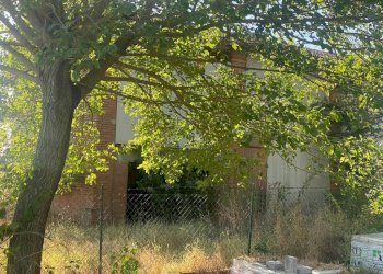 Agricultural land Imola - photo 4