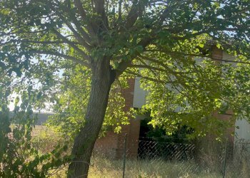 Agricultural land Imola - photo 5