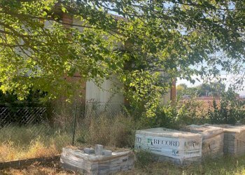 Agricultural land Imola - photo 6