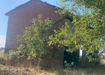 Agricultural land Imola - photo 7