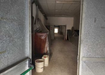 08de7061-df37-4154-af44-0b919c00c9c5.jpg - Warehouse Jesi - photo 7