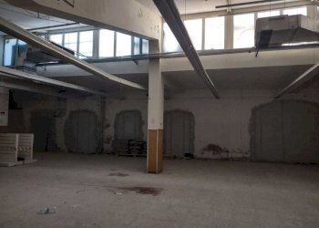 0d083a4f-508c-4e2c-9641-4d9464d65f21.jpg - Warehouse Jesi - photo 2