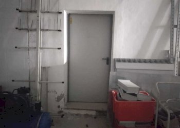 6f589c7e-3a14-4bc1-8b14-eb362bec643c.jpg - Warehouse Jesi - photo 7