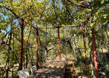 IMG-20230930-WA0043.jpg - Appartamento Località Costalunga, Sassello - foto 23