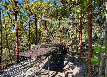 Immagine WhatsApp 2023-09-30 ore 18.22.43_959151db - Appartamento Località Costalunga, Sassello - foto 28