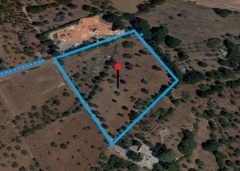 terreno - Terreno agricolo C.DA S LUCIA, Monopoli - foto 1