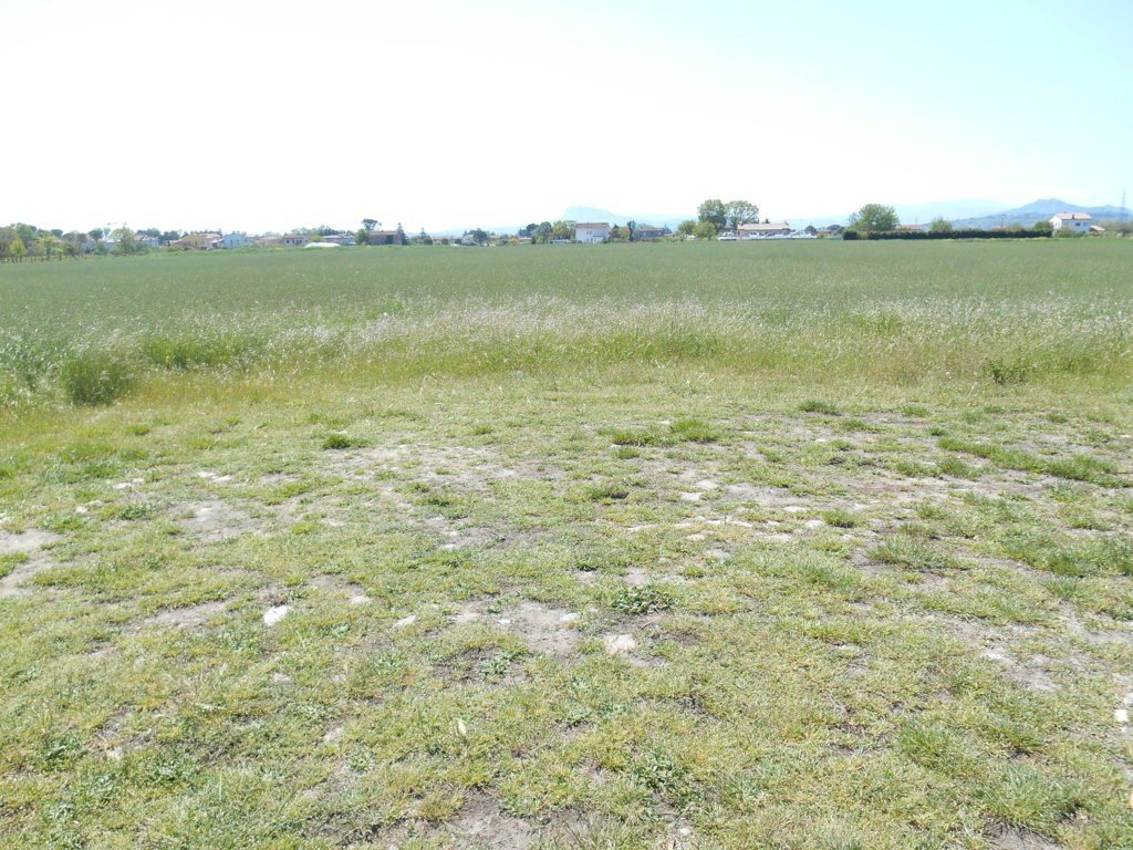 Terreno edificabile Santarcangelo di Romagna - foto 1