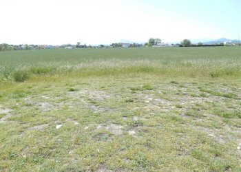 Terreno edificabile Santarcangelo di Romagna - foto 1