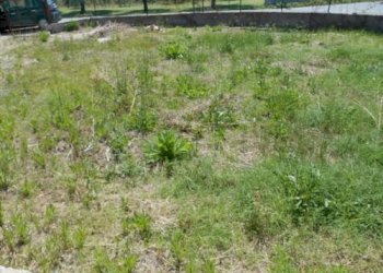 Casa indipendente Poggio Torriana - foto 7