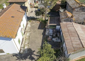 Villa Imola - photo 2