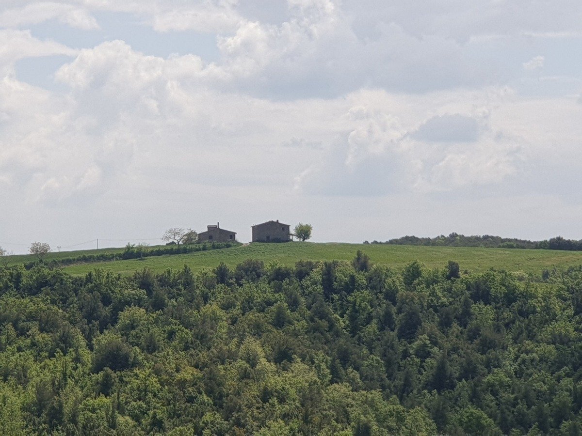 casale orvieto (1).jpg - Casale LOCALITA COLONNETTA, Orvieto - foto 2