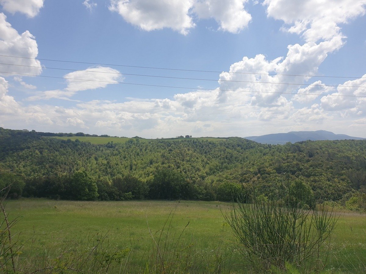 casale orvieto (2).jpg - Casale LOCALITA COLONNETTA, Orvieto - foto 3