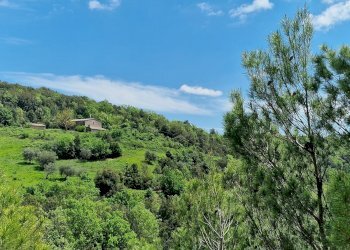 casale orvieto (30).jpg - Casale LOCALITA COLONNETTA, Orvieto - foto 1