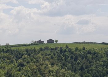 casale orvieto (1).jpg - Casale LOCALITA COLONNETTA, Orvieto - foto 2