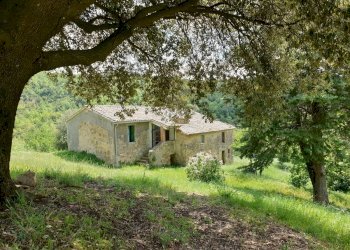 casale orvieto (3).jpg - Casale LOCALITA COLONNETTA, Orvieto - foto 9