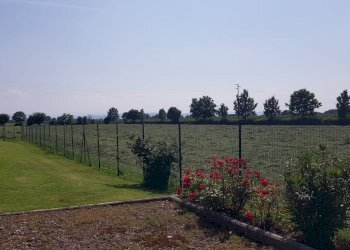 Rustic STRADA SAN DONNINO, Modena - photo 19