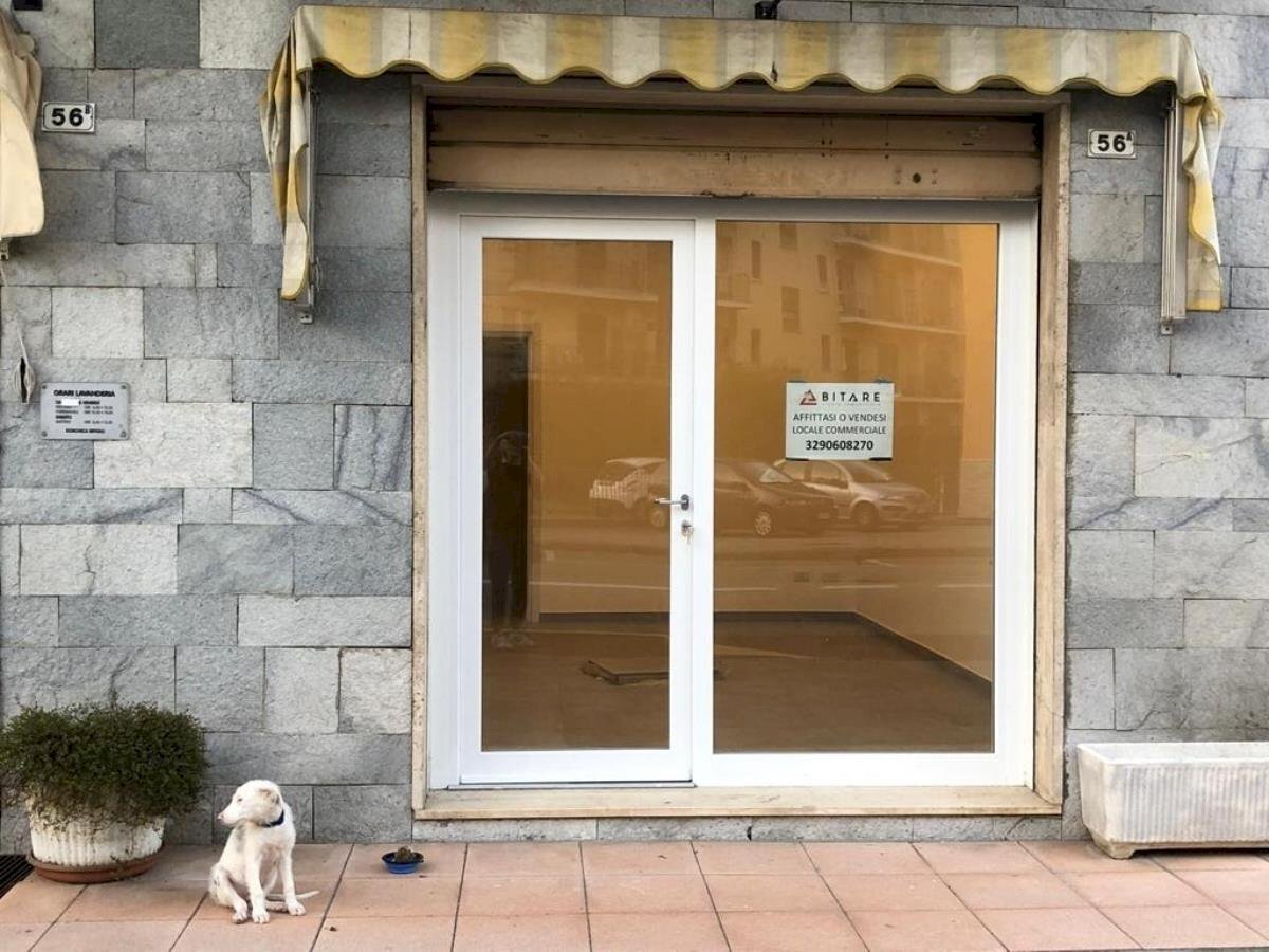 Commercial Activity Banchette - photo 1