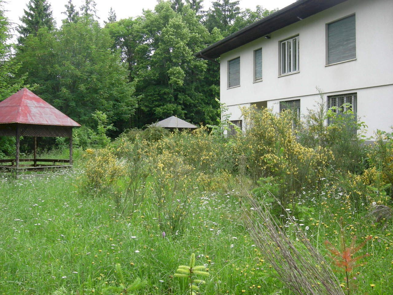 4podernovo.JPG - Casa indipendente Pelago - foto 3