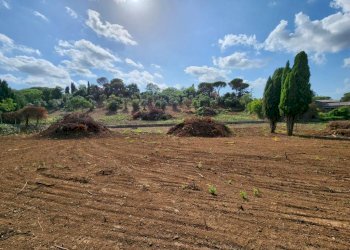 IMG-20230927-WA0013.jpg - Terreno edificabile Monte Porzio Catone - foto 1