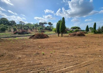 IMG-20230927-WA0009.jpg - Terreno edificabile Monte Porzio Catone - foto 3