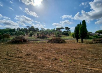 IMG-20230927-WA0010.jpg - Terreno edificabile Monte Porzio Catone - foto 4