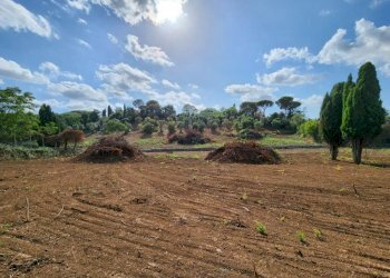 IMG-20230927-WA0012.jpg - Terreno edificabile Monte Porzio Catone - foto 5