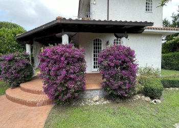 IMG_3764.JPG - Villa via terracina 120, San Felice Circeo - photo 11