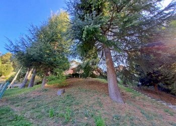 Villa Valsamoggia - foto 6