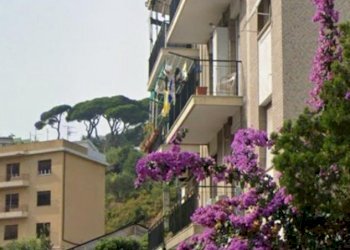 Box Savona, Via Don Minzoni 8/A, Savona (neighborhood Oltreletimbro) - photo 1