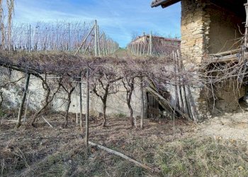 Agricultural land Via Roddino, Serralunga d'Alba - photo 13