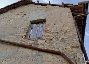 Agricultural land Via Roddino, Serralunga d'Alba - photo 14