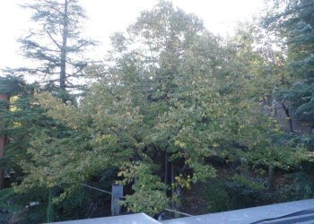 Vista - Attico via Eugenio Curiel, Casalecchio di Reno - foto 5