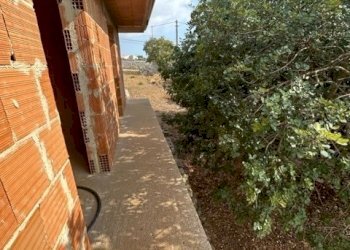 IMG_8067.jpg - Rustico Contrada Violicce, Modica - foto 4