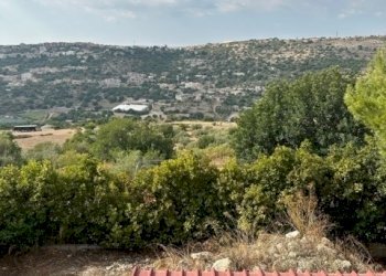 IMG_8068.jpg - Rustico Contrada Violicce, Modica - foto 13