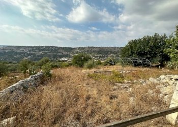 IMG_8075.jpg - Rustico Contrada Violicce, Modica - foto 15