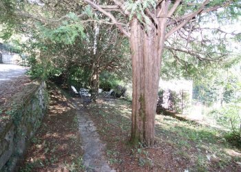 IMG_6558.JPG - Villa Viale Roma 9, Bagni di Lucca - foto 7