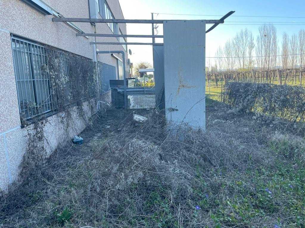 Capannone San Giovanni in Persiceto - foto 3