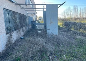 Capannone San Giovanni in Persiceto - foto 3