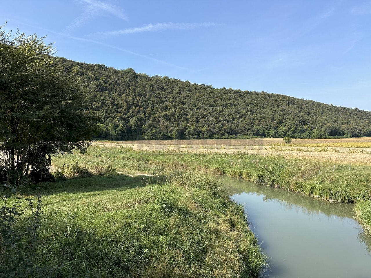 unnamed.jpg - Agricultural land via san rocco, Arcugnano - photo 2
