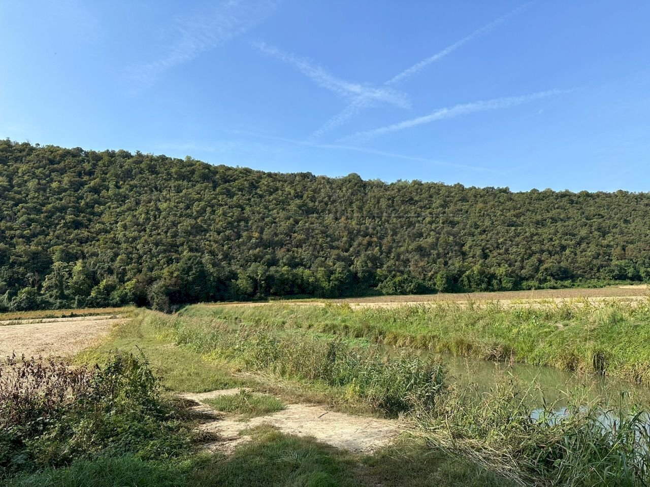 IMG-20231005-WA0033.jpg - Agricultural land via san rocco, Arcugnano - photo 3