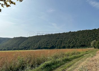 IMG-20231005-WA0038.jpg - Agricultural land via san rocco, Arcugnano - photo 1