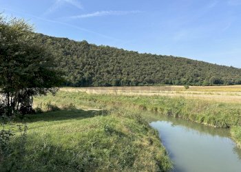 unnamed.jpg - Agricultural land via san rocco, Arcugnano - photo 2