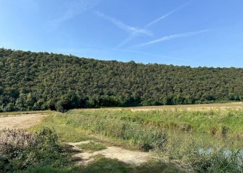 IMG-20231005-WA0033.jpg - Agricultural land via san rocco, Arcugnano - photo 3