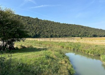 IMG-20231005-WA0023.jpg - Agricultural land via san rocco, Arcugnano - photo 5