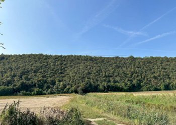 IMG-20231005-WA0036.jpg - Agricultural land via san rocco, Arcugnano - photo 9